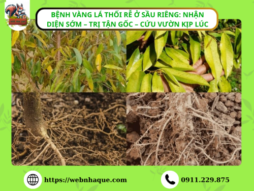 Tin hot nhất hôm nay