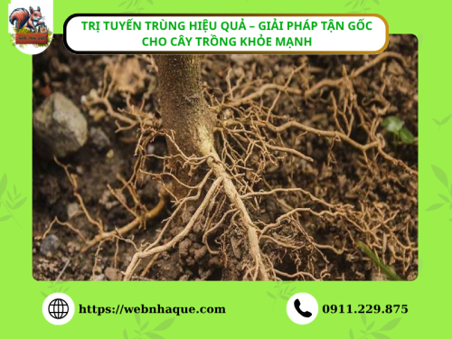 Trị Tuyến Trùng Hiệu Quả – Giải Pháp Tận Gốc Cho Cây Trồng Khỏe Mạnh