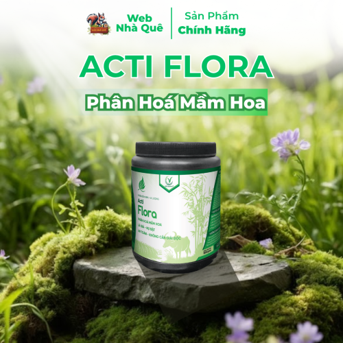 Phân Bón Lá Acti Flora Thúc Đẩy Phân Hoá Mầm Hoa, Lá Già Nhanh (Hũ 500g Pha 400 Lít)