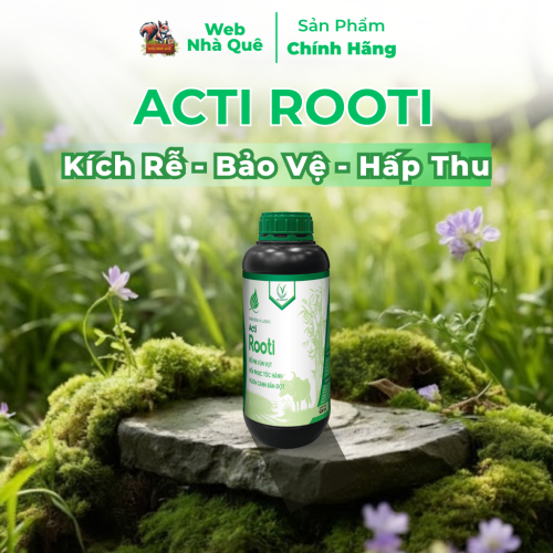 Phân Bón Lá Acti Rooti Giúp Kích Rễ Cây Trồng, Tăng Khả Năng Hấp Thu NPK Tồn Dư Trong Đất