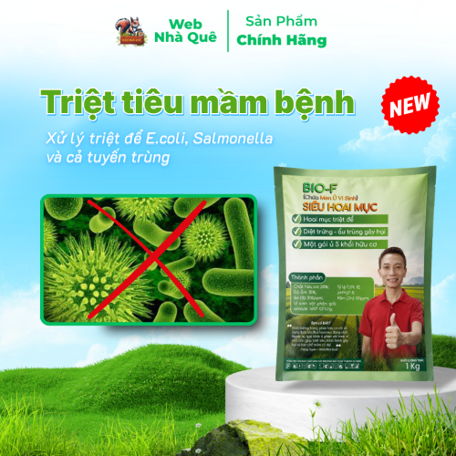 Men Vi Sinh Ủ Phân Giúp Hoai Mục Nhanh, Giảm Mầm Bệnh và Ấu Trùng Gây Hại thumb