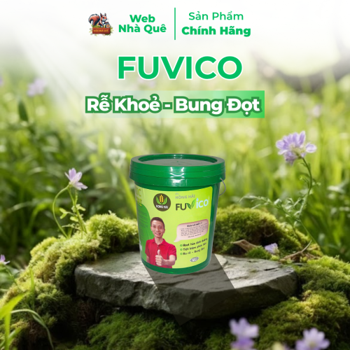 Phân Bón Rễ Hữu Cơ Fuvico