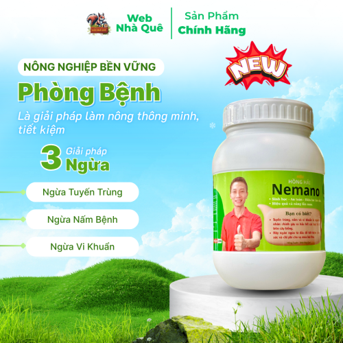 Sản phẩm NEMANO WEB NHÀ QUÊ thumb