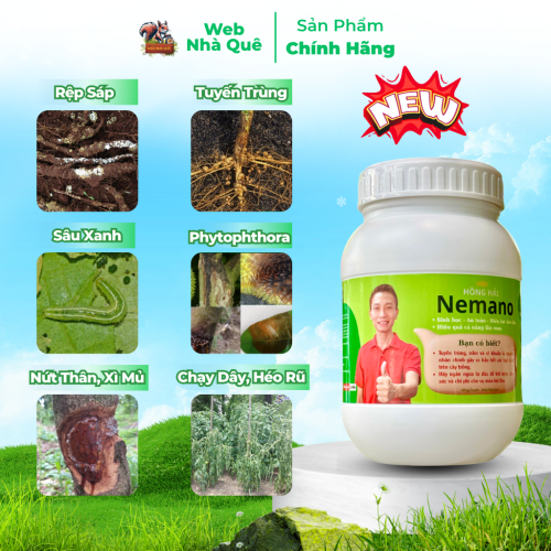 Sản phẩm NEMANO WEB NHÀ QUÊ thumb