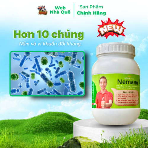 Sản phẩm NEMANO WEB NHÀ QUÊ thumb