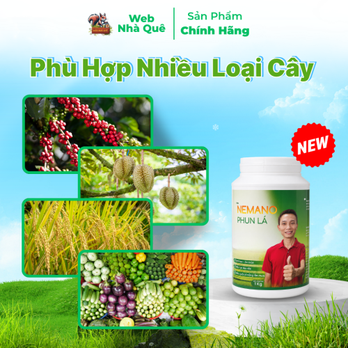 Phân Bón Lá Nemano Chuyên Phun Lá - 1Kg Pha 400 Lít Nước thumb