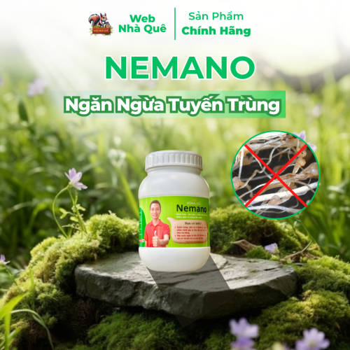 Phân bón Phòng Ngừa Tuyến Trùng Nemano