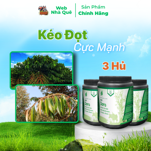 Combo 3 Hủ Phân Bón Acti Dora Siêu Kéo Đọt, Bật Chồi Nhanh, Thúc Trái Nhanh Lớn (500g pha 400 lít) thumb