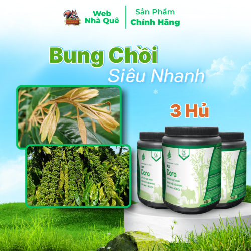 Combo 3 Hủ Phân Bón Acti Dora Siêu Kéo Đọt, Bật Chồi Nhanh, Thúc Trái Nhanh Lớn (500g pha 400 lít) thumb