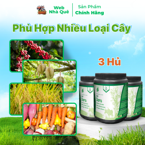 Combo 3 Hủ Phân Bón Acti Dora Siêu Kéo Đọt, Bật Chồi Nhanh, Thúc Trái Nhanh Lớn (500g pha 400 lít) thumb