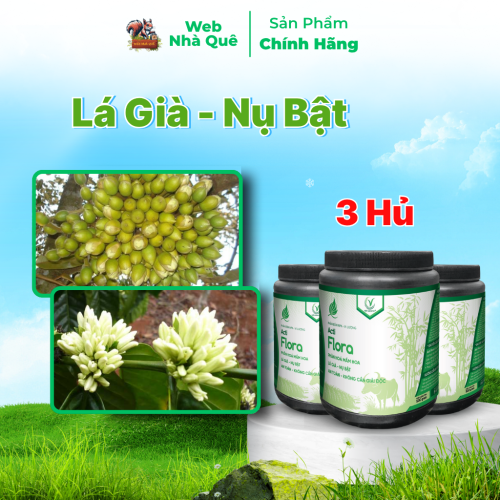 Combo 3 Hũ Phân Bón Lá Acti Flora Thúc Đẩy Phân Hoá Mầm Hoa, Lá Già Nhanh (Hũ 500g Pha 400 Lít) thumb