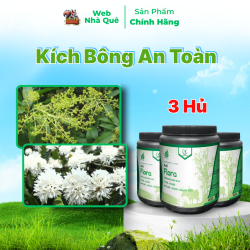 Combo 3 Hũ Phân Bón Lá Acti Flora Thúc Đẩy Phân Hoá Mầm Hoa, Lá Già Nhanh (Hũ 500g Pha 400 Lít) thumb