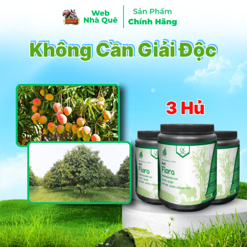 Combo 3 Hũ Phân Bón Lá Acti Flora Thúc Đẩy Phân Hoá Mầm Hoa, Lá Già Nhanh (Hũ 500g Pha 400 Lít) thumb