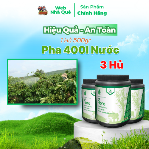 Combo 3 Hũ Phân Bón Lá Acti Flora Thúc Đẩy Phân Hoá Mầm Hoa, Lá Già Nhanh (Hũ 500g Pha 400 Lít) thumb