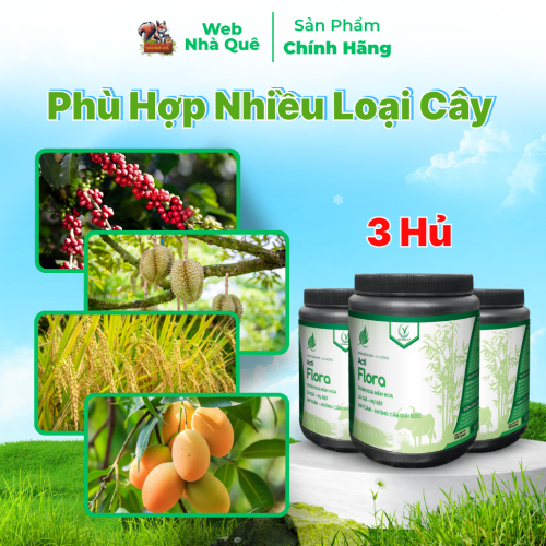 Combo 3 Hũ Phân Bón Lá Acti Flora Thúc Đẩy Phân Hoá Mầm Hoa, Lá Già Nhanh (Hũ 500g Pha 400 Lít) thumb