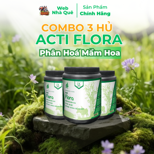 Combo 3 Hũ Phân Bón Lá Acti Flora Thúc Đẩy Phân Hoá Mầm Hoa, Lá Già Nhanh (Hũ 500g Pha 400 Lít)