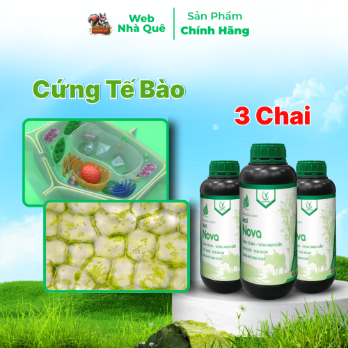 Combo 3 Hũ Phân Bón Lá Acti Nova Tăng Khả Năng Vận Chuyển Dinh Dưỡng Cho Cây Trồng, Giúp Trái Lớn Nhanh, Cây Khoẻ thumb