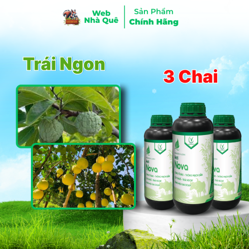 Combo 3 Hũ Phân Bón Lá Acti Nova Tăng Khả Năng Vận Chuyển Dinh Dưỡng Cho Cây Trồng, Giúp Trái Lớn Nhanh, Cây Khoẻ thumb
