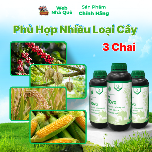 Combo 3 Hũ Phân Bón Lá Acti Nova Tăng Khả Năng Vận Chuyển Dinh Dưỡng Cho Cây Trồng, Giúp Trái Lớn Nhanh, Cây Khoẻ thumb