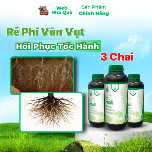 Combo 3 Hũ Phân Bón Lá Acti Rooti Giúp Kích Rễ Cây Trồng, Tăng Khả Năng Hấp Thu NPK Tồn Dư Trong Đất thumb