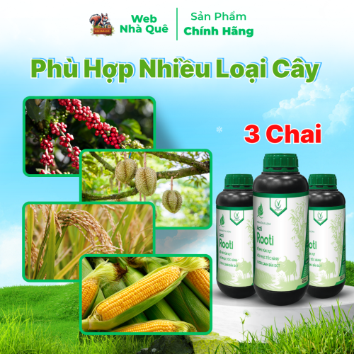 Combo 3 Hũ Phân Bón Lá Acti Rooti Giúp Kích Rễ Cây Trồng, Tăng Khả Năng Hấp Thu NPK Tồn Dư Trong Đất thumb