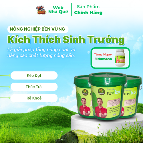 Sản phẩm FUVICO WEB NHÀ QUÊ thumb