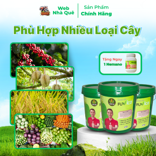 Sản phẩm FUVICO WEB NHÀ QUÊ thumb