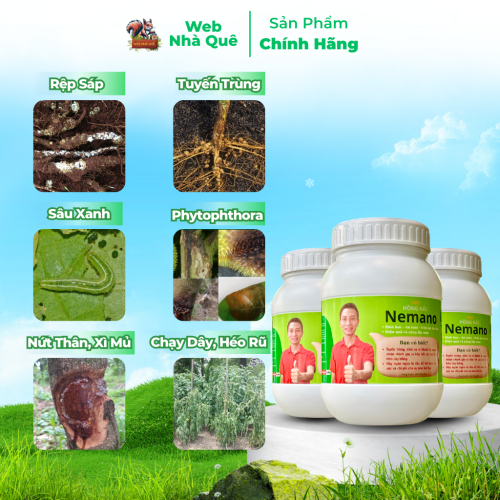 Sản phẩm NEMANO WEB NHÀ QUÊ thumb