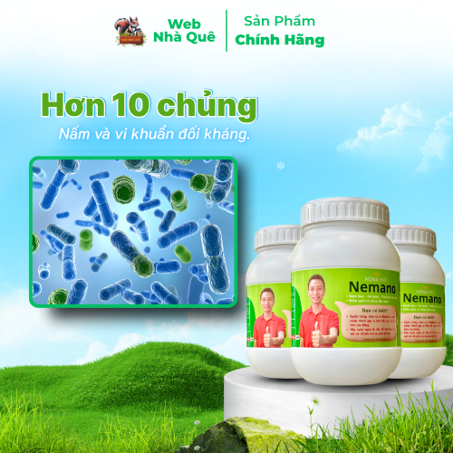 Sản phẩm NEMANO WEB NHÀ QUÊ thumb