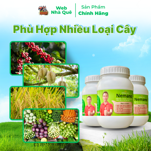 Sản phẩm NEMANO WEB NHÀ QUÊ thumb