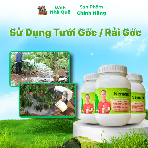 Sản phẩm NEMANO WEB NHÀ QUÊ thumb