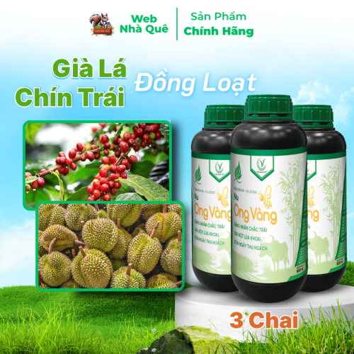 Combo 3 Hủ Phân Bón Lá Nu Ong Vàng Bổ Sung Lân, Kali, Bo Giúp Cây Trồng Nuôi Trái, Nặng Nhân thumb