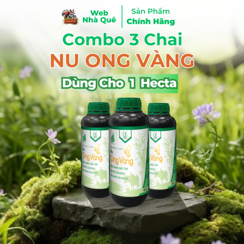 Combo 3 Hủ Phân Bón Lá Nu Ong Vàng Bổ Sung Lân, Kali, Bo Giúp Cây Trồng Nuôi Trái, Nặng Nhân