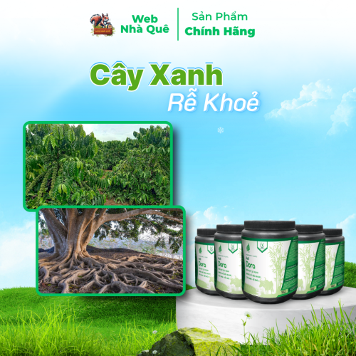 Combo 10 Hủ Phân Bón Acti Dora Siêu Kéo Đọt, Bật Chồi Nhanh, Thúc Trái Nhanh Lớn (500g pha 400 lít) thumb