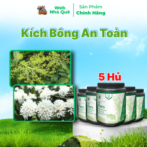 Combo 5 Hũ Phân Bón Lá Acti Flora Tặng 1 Nu Bo Xanh Extra 250ml thumb