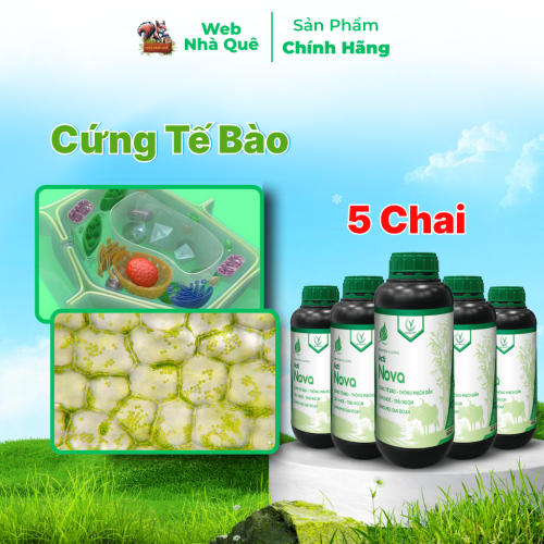 Combo 10 Hũ Phân Bón Lá Acti Nova Tặng 3 Nu Bo Xanh Extra 250ml thumb
