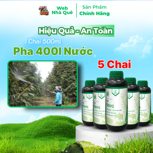 Combo 10 Hũ Phân Bón Lá Acti Nova Tặng 3 Nu Bo Xanh Extra 250ml thumb