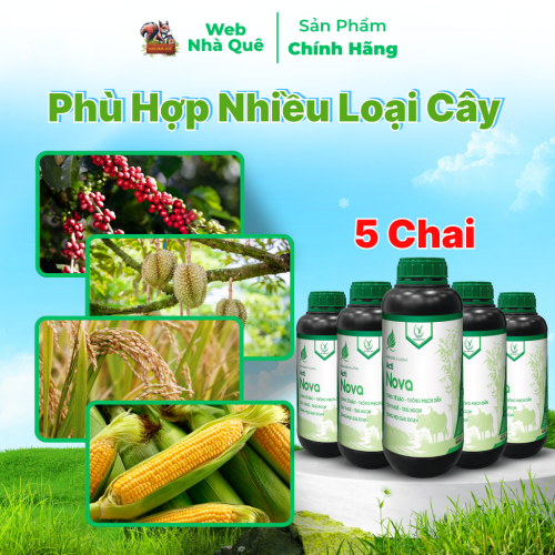 Combo 10 Hũ Phân Bón Lá Acti Nova Tặng 3 Nu Bo Xanh Extra 250ml thumb