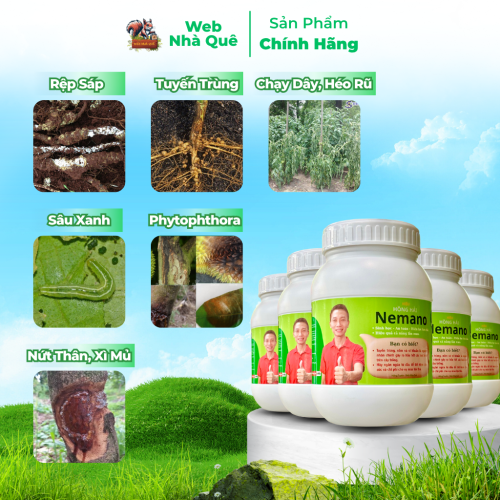 Sản phẩm NEMANO WEB NHÀ QUÊ thumb