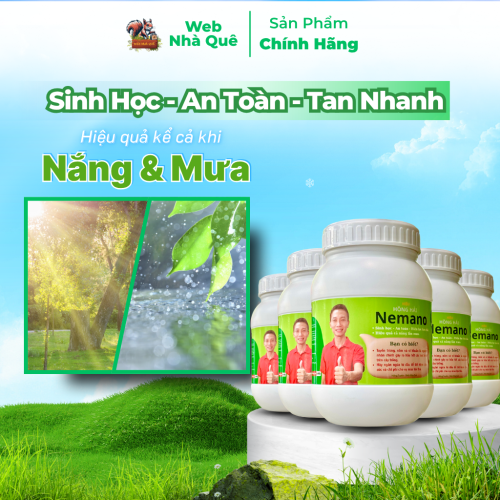 Sản phẩm NEMANO WEB NHÀ QUÊ thumb
