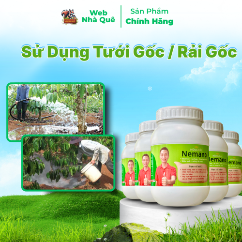 Sản phẩm NEMANO WEB NHÀ QUÊ thumb