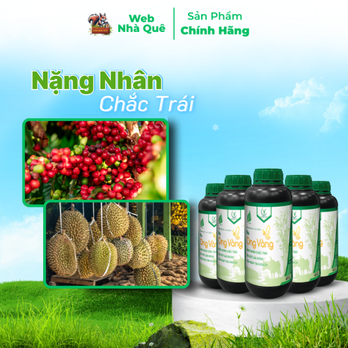 Combo 10 Hủ Phân Bón Lá Nu Ong Vàng Bổ Sung Lân, Kali, Bo Giúp Cây Trồng Nuôi Trái, Nặng Nhân thumb