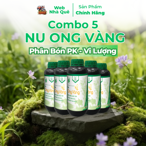 Combo 5 Hủ Phân Bón Lá Nu Ong Vàng Bổ Sung Lân, Kali, Bo Giúp Cây Trồng Nuôi Trái, Nặng Nhân
