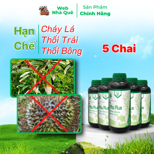 Combo 5 Hũ Phân Bón Lá Nu Vita Plus Tặng 1 Nu Bo Xanh Extra 250ml thumb