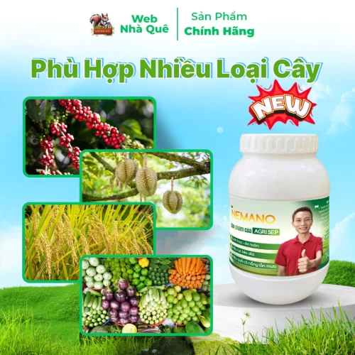 Sản phẩm NEMANO WEB NHÀ QUÊ thumb