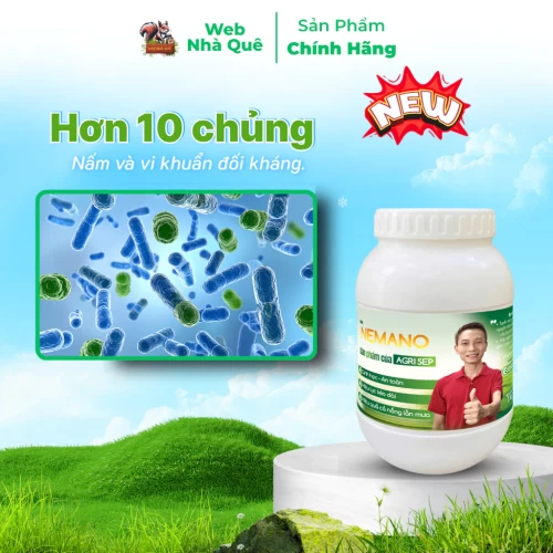Sản phẩm NEMANO WEB NHÀ QUÊ thumb