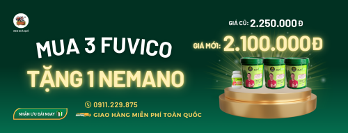 Sản phẩm FUVICO WEB NHÀ QUÊ thumb