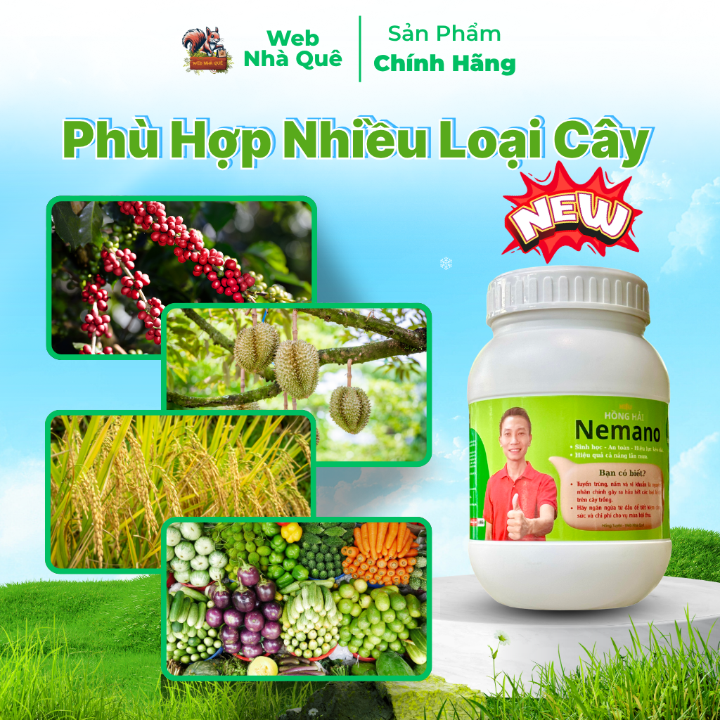 Sản phẩm NEMANO WEB NHÀ QUÊ