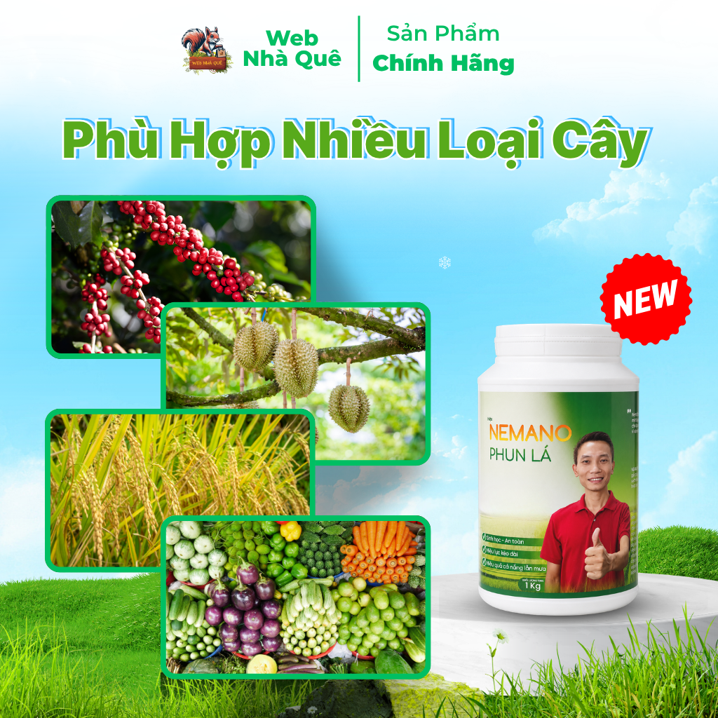 Phân Bón Lá Nemano Chuyên Phun Lá - 1Kg Pha 400 Lít Nước