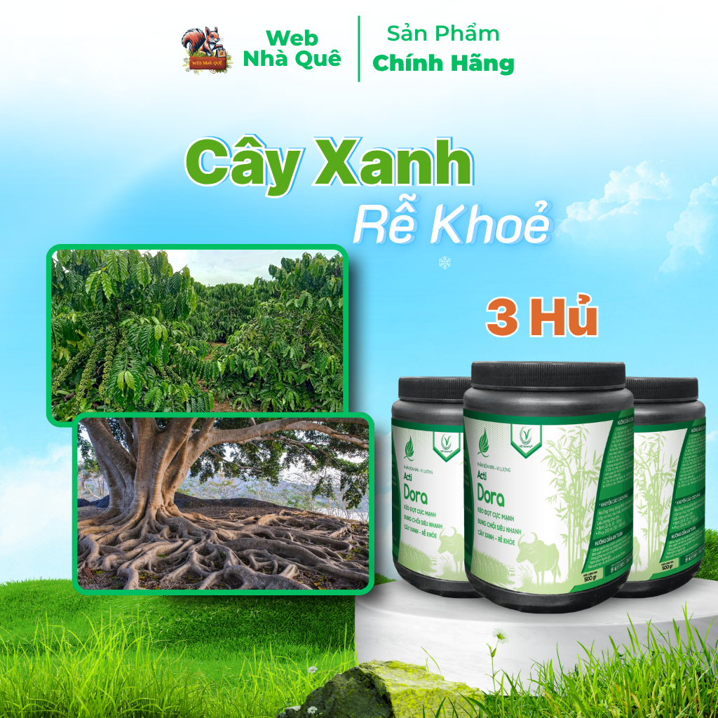 Combo 3 Hủ Phân Bón Acti Dora Siêu Kéo Đọt, Bật Chồi Nhanh, Thúc Trái Nhanh Lớn (500g pha 400 lít)